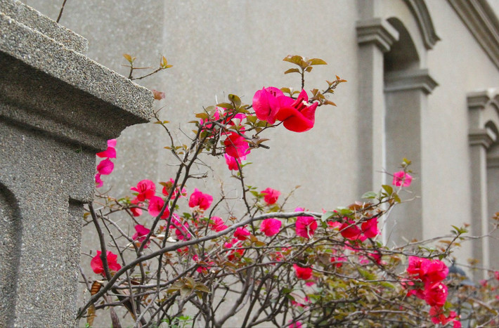 某年某月某一天我在鼓浪屿
