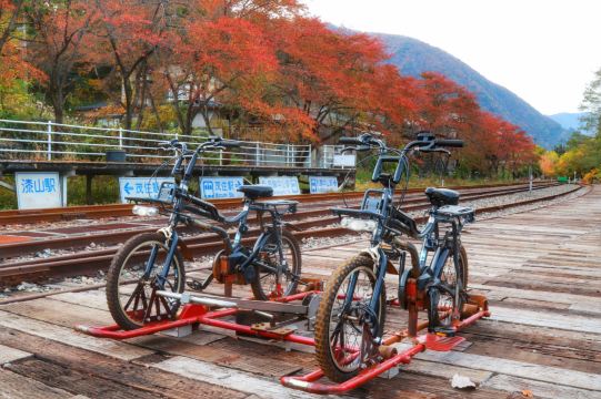 参观完酒厂,我们就要去运动一下,去体验一下轨道自行车.