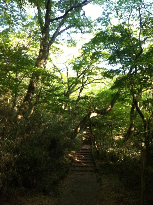 姥子自然步道