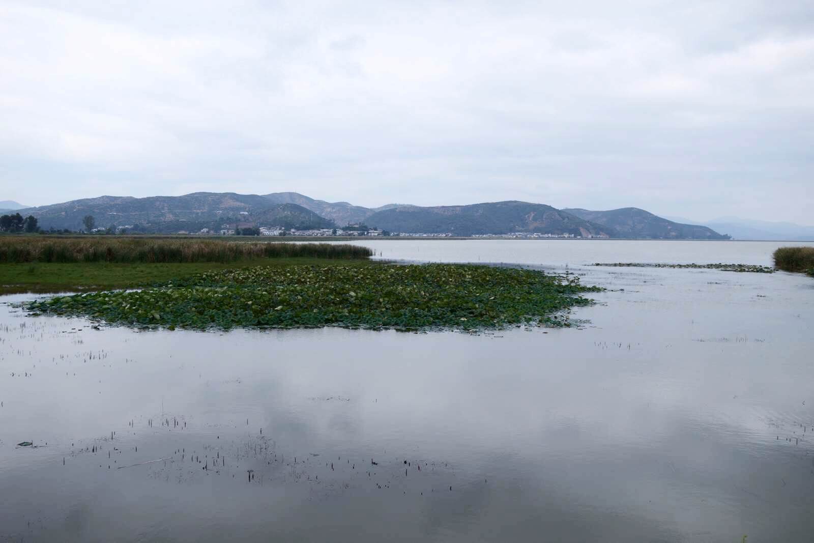 雲南石屏:古風依舊,淵源流長 - 石屏遊記攻略【攜程攻略】