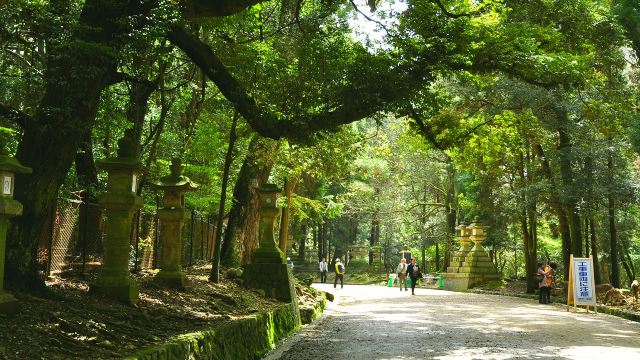 春日山原始林门票,奈良春日山原始林攻略/地址/图片/门票价格【携程