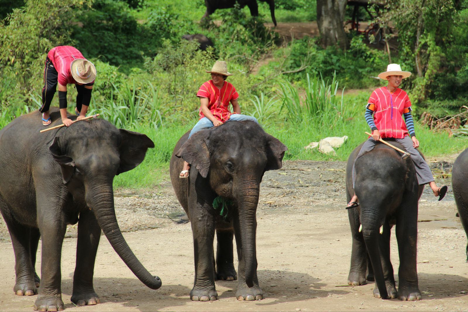 游荡在~曼谷……清迈(1)