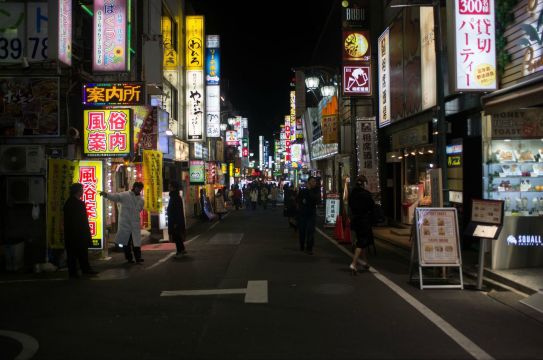 日本:云烟草色迷三径 风光物华动四邻(1)