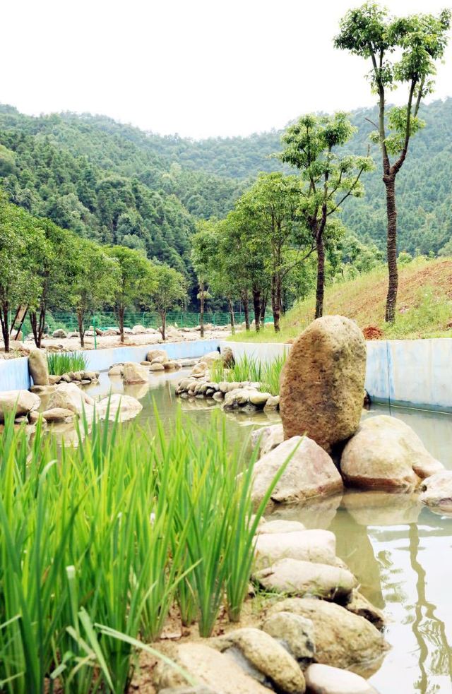 千岛湖宋家渔村蓝泊湾景区