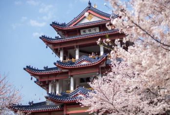 无锡三国城水浒城+鼋头渚+太湖仙岛一日游【含专职导游讲解】【纯玩无购物，，让您舒心旅游】