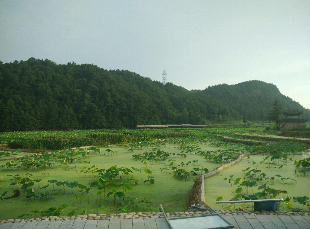 单位赴文成县活动,夜宿南田镇武阳村.