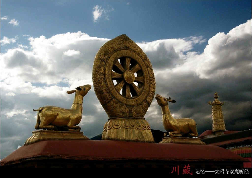 大昭寺雙鹿聽經 八一-拉薩