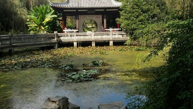 雨花石博物馆门票,南京雨花石博物馆攻略/地址/图片/门票价格【携程