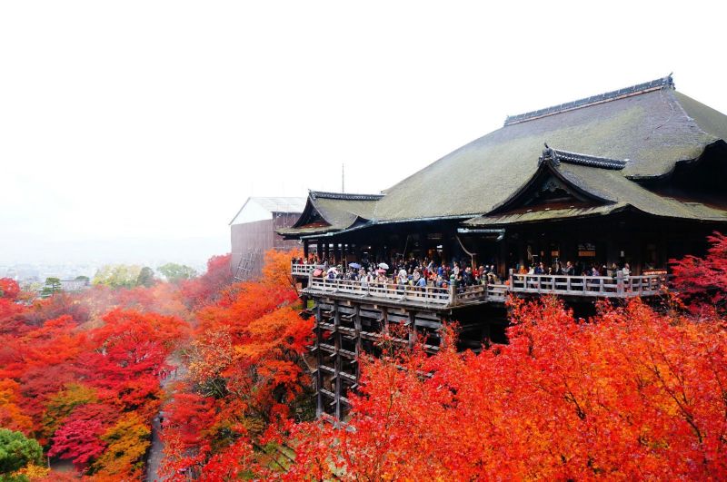 清水舞台侧面 清水寺