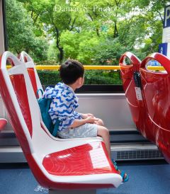 旅游游记,游记攻略,精品\/热门\/最新游记推荐【携