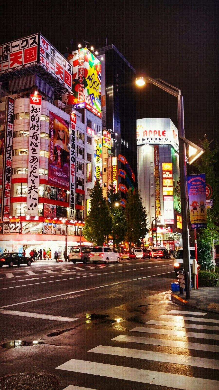 尋覓霓虹的深秋(東京篇)