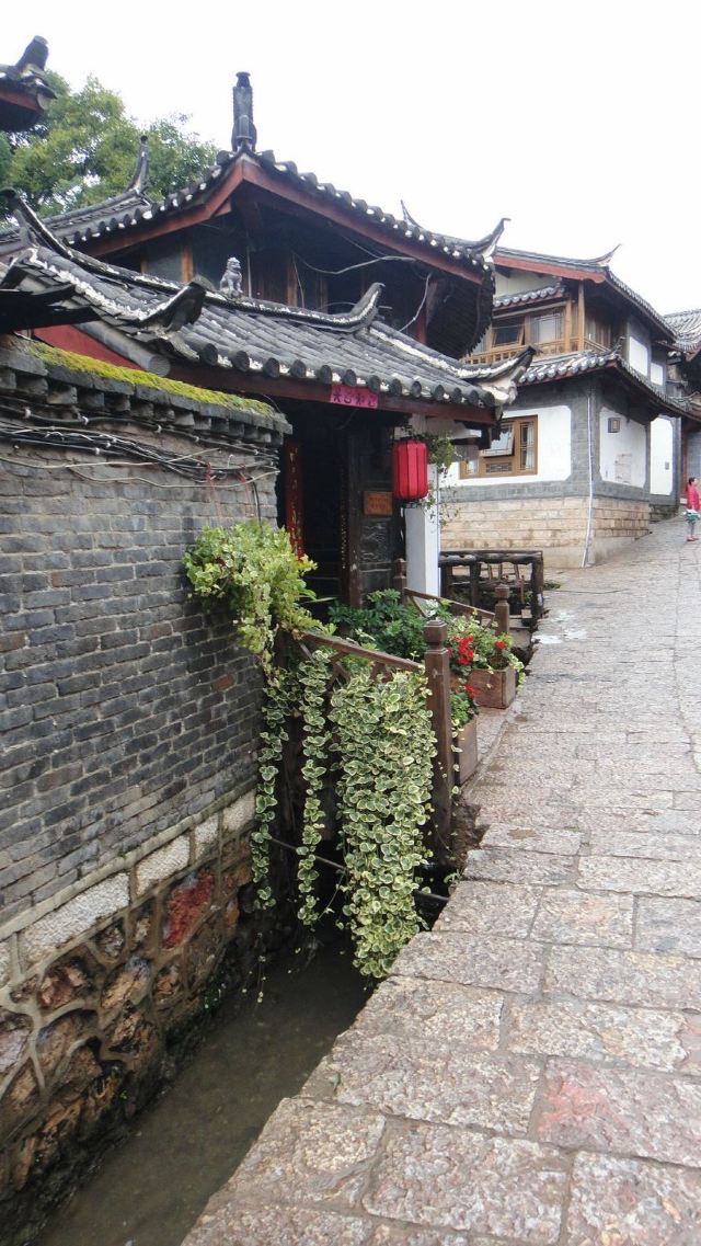 一个人的丽江慢生活