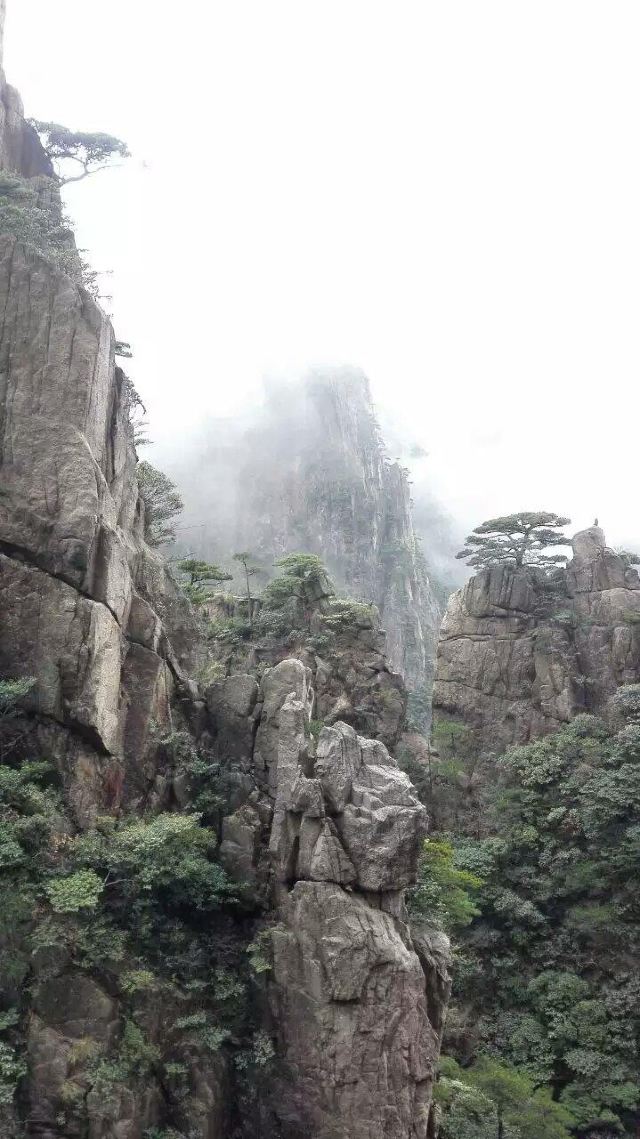 黃山奇石 黃山