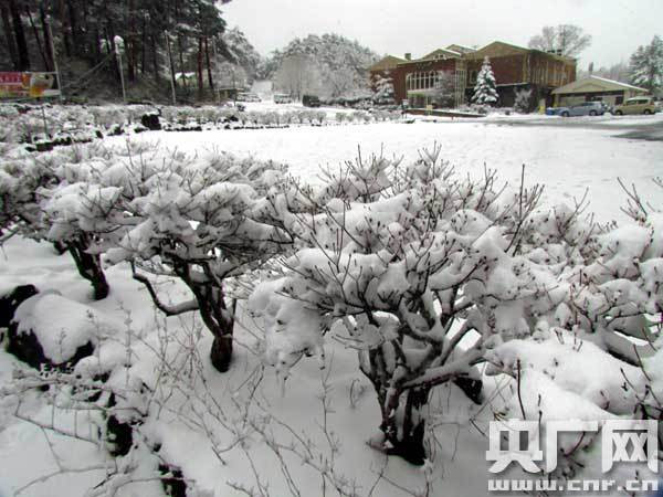 海涛旅游 北京国安球迷团日本助威亚冠赛散记