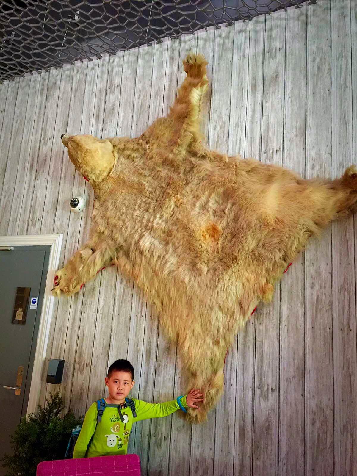 还是白熊皮 松恩峡湾