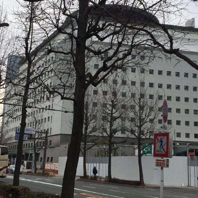 带着"背后灵"妹子游日本(东京—大阪—京都—奈良)