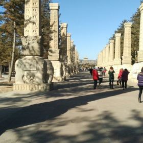 云冈石窟门票多少钱学生 CggYr1cXs0-AVvf4AAGzhPaakDk590_C_280_280.jpg