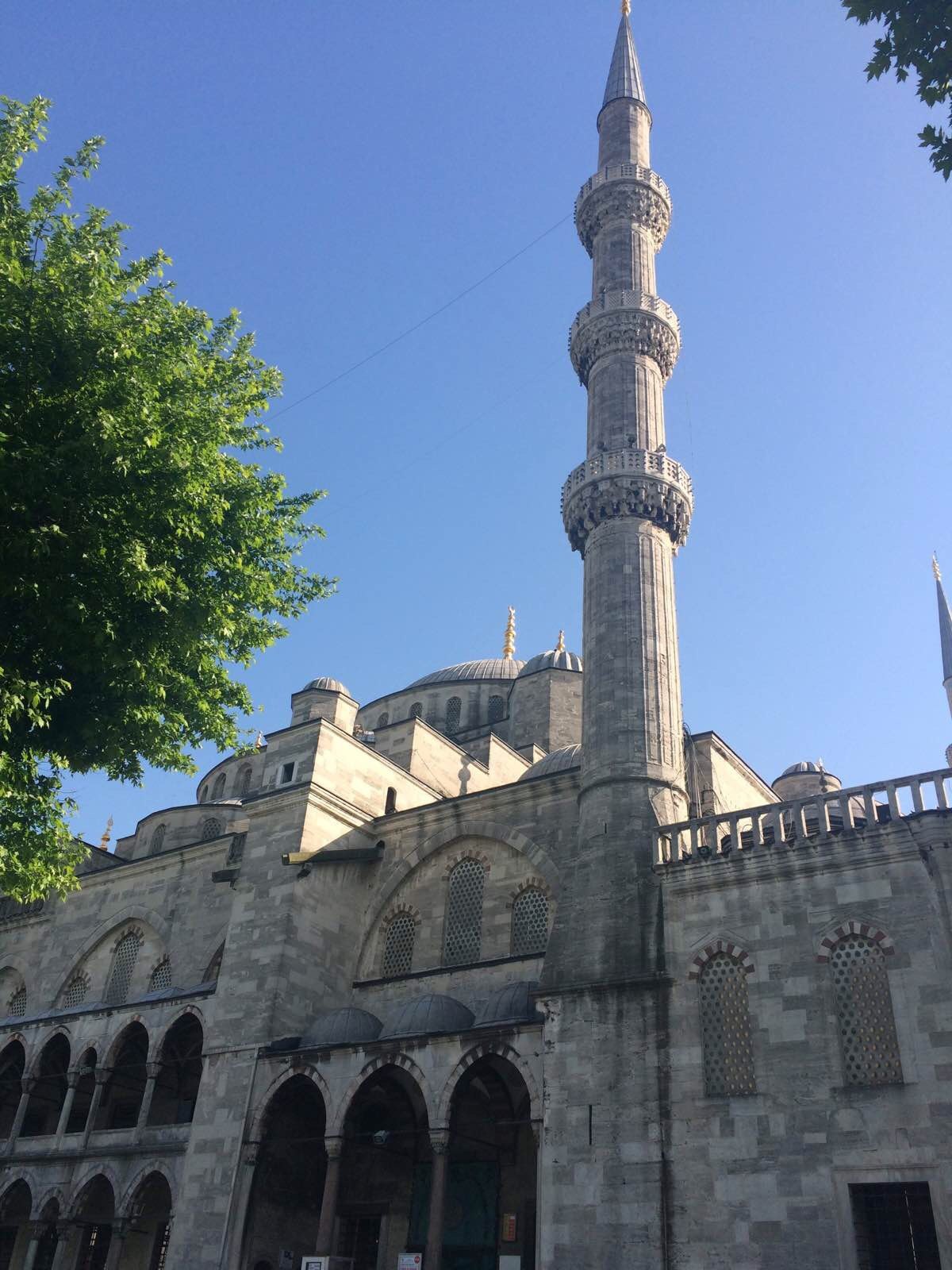 藍色清真寺 阿拉恰特