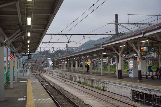 大月站的全貌,背后就是连绵的山 大月站