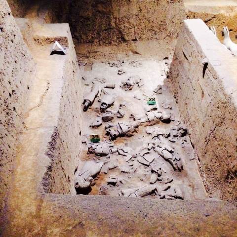 梦回大唐,畅游长安