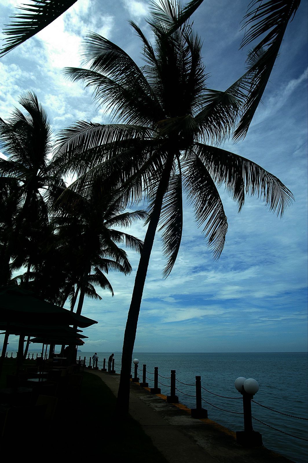 漫步海边,椰风树影 香格里拉丹绒亚路酒店