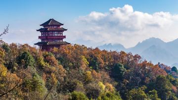 天子山 天子阁 (4)