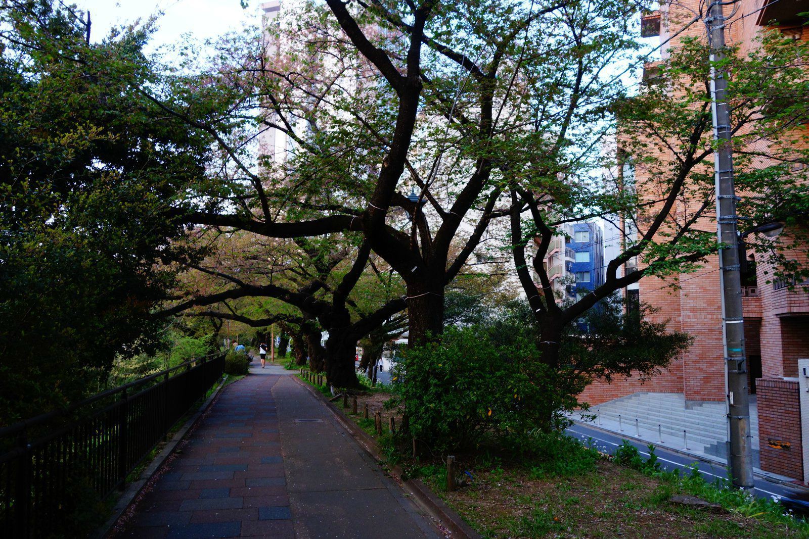 河边小路 东京,靖国神社