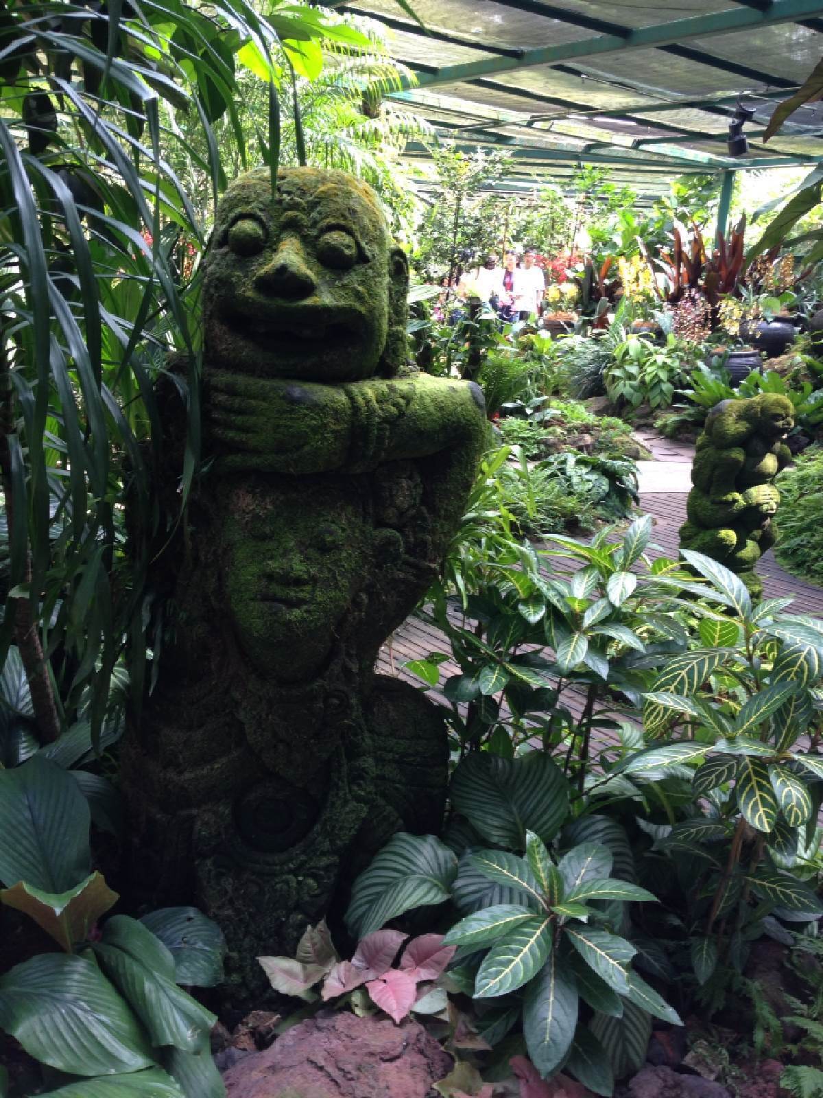 新加坡植物园