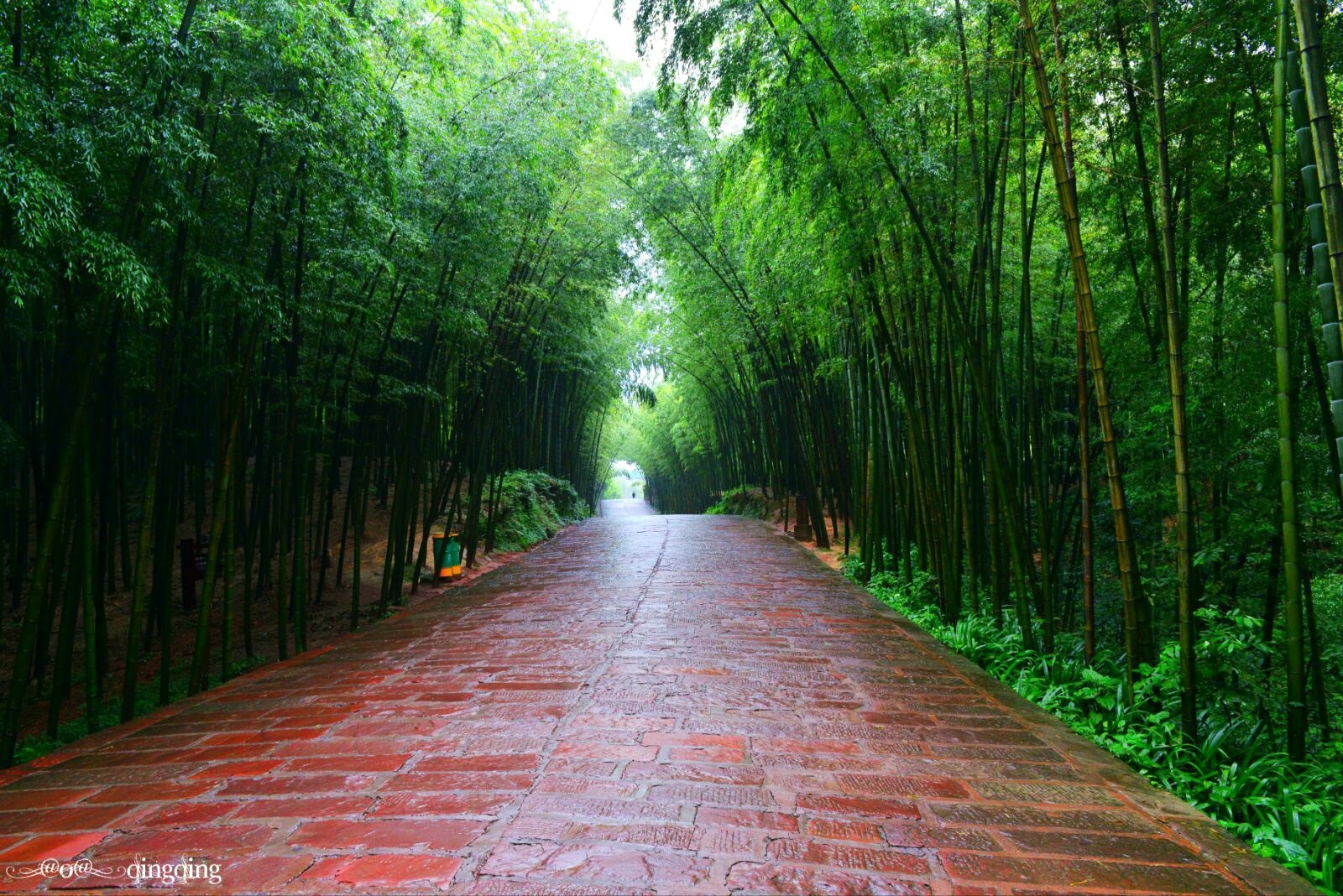 翡翠长廊路面是由"色如渥丹,灿若明霞"的天然红砂石铺成.