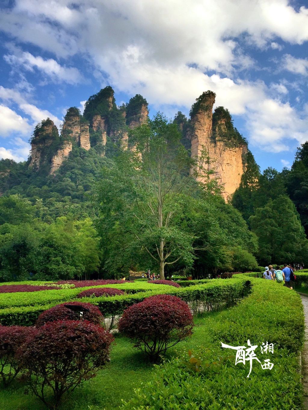 探访人间仙境—自由行张家界