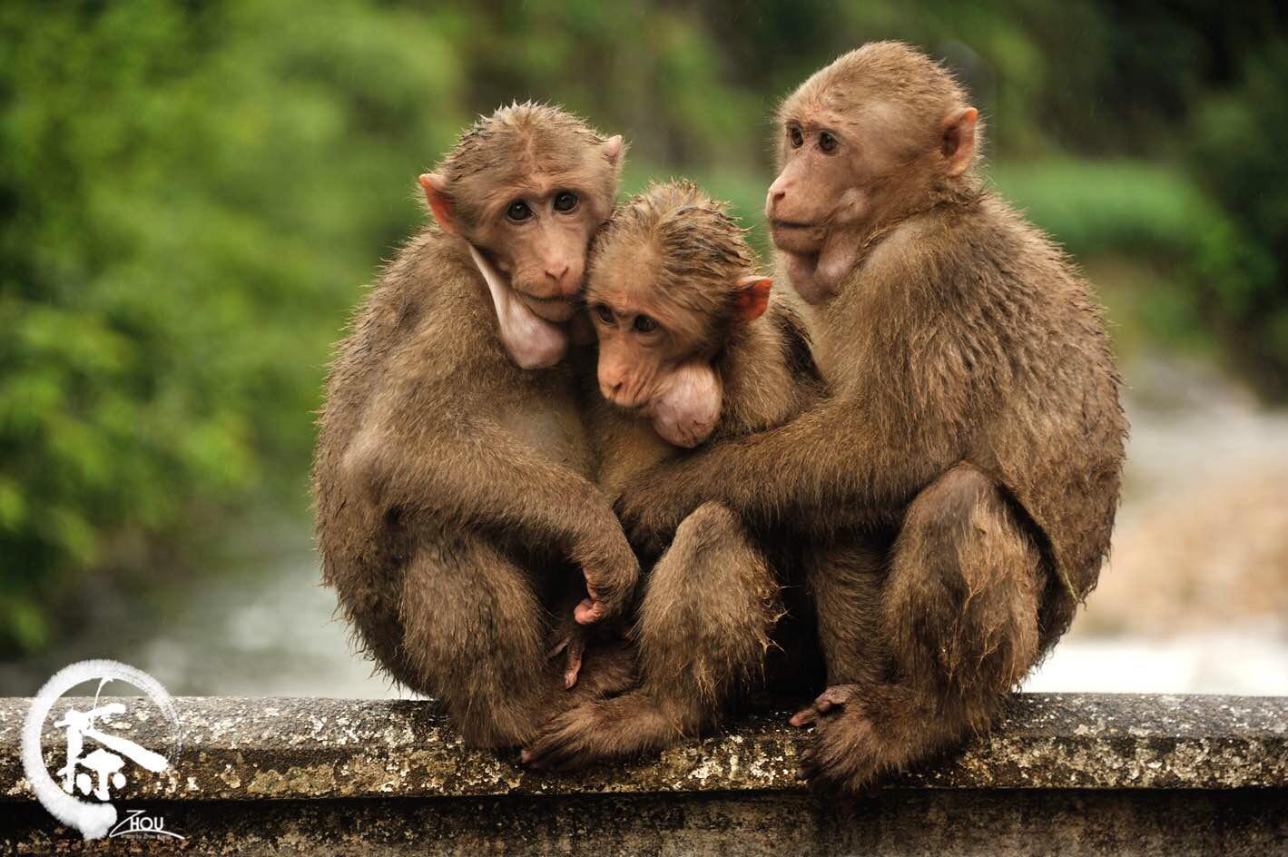 品福建这杯茶:武夷茶旅全攻略