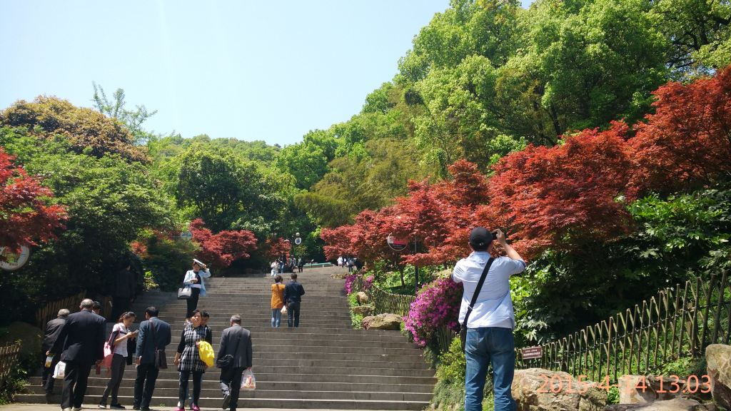 橘子洲頭,嶽麓山