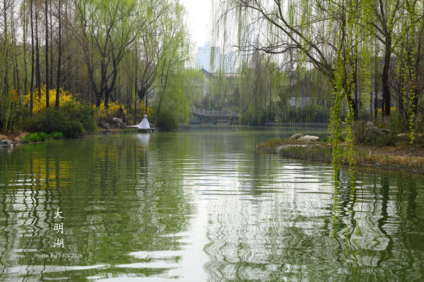 心动春之旅 在春暖花开的季节,爱上了这座泉水之城(济南3日2晚自由