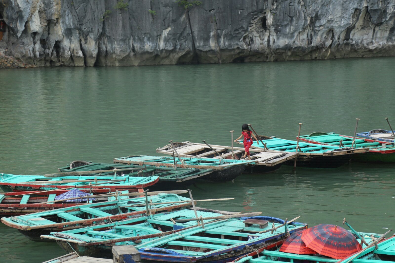 形成了很快被水填满的谷地仅有山岳的峰顶——下龙湾的岩岛——浮在