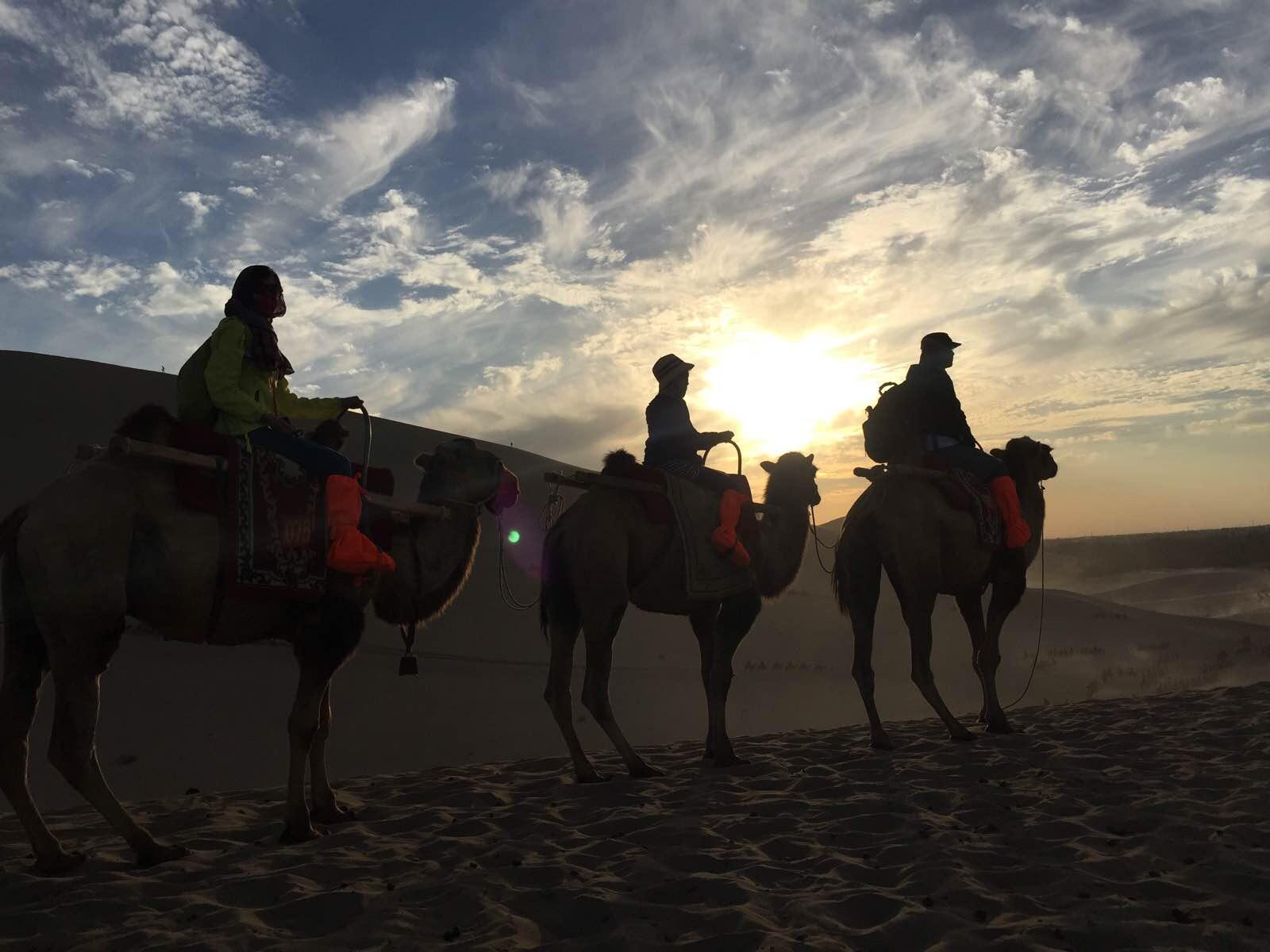 骑骆驼拍照姿势图片