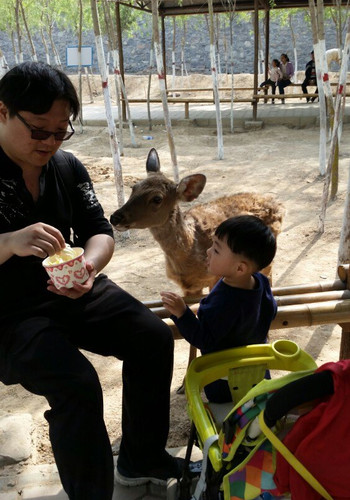 五龍山野生動物園一日遊