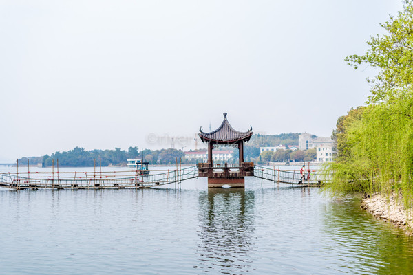 天目湖中国茶岛图片