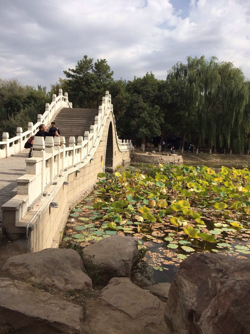 銀川中山公園