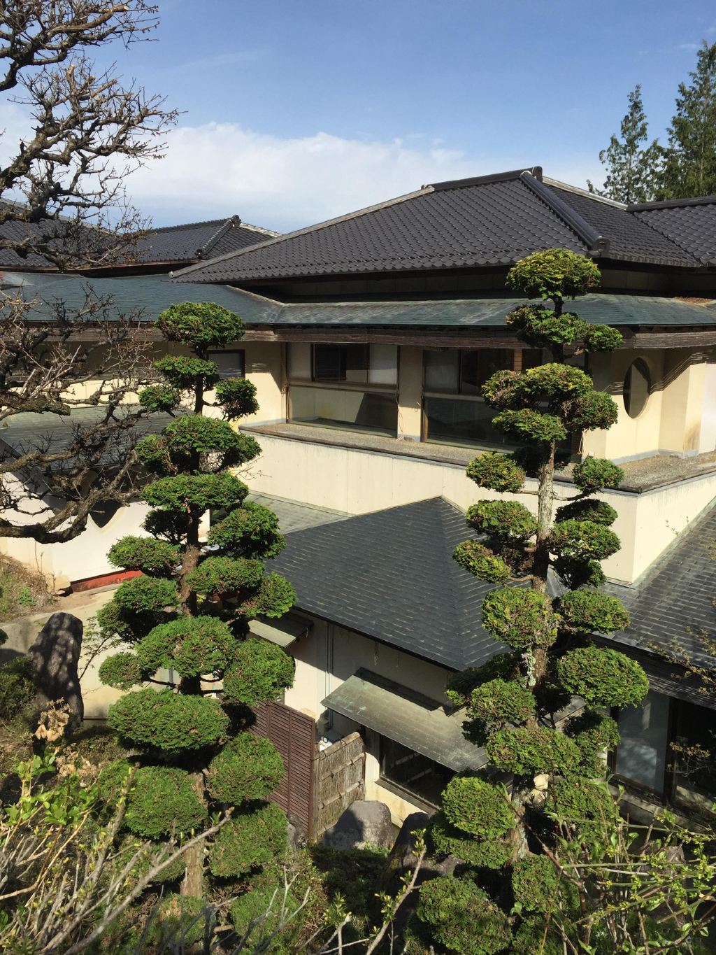 自駕遊世界之日本中部名古屋-下呂-高山-上高地-松本-富士山 5日櫻花