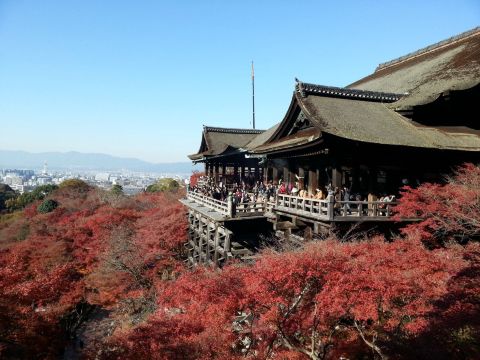 红叶簇拥的清水舞台 清水寺