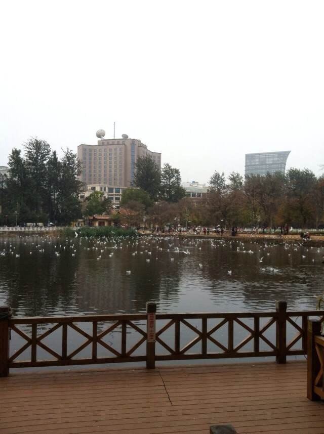 翠湖公园另一脚