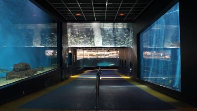 箱根园水族馆