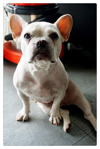 台湾我来也-那一大片让人沉醉的海!