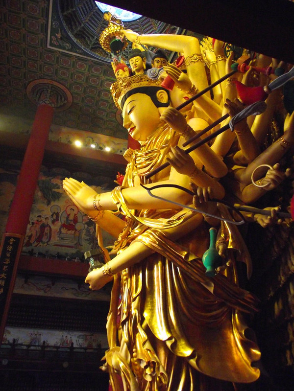 韦金勇:4月阳春天 组织老龄人 上海金山枫泾古镇 芳心园 东林寺一日游