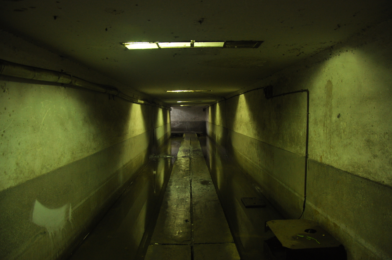 杭州最后的绿皮火车