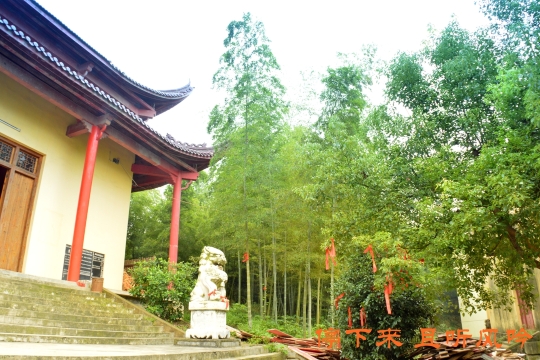 旅行摄影大展#郎溪县永庆寺——有容乃大