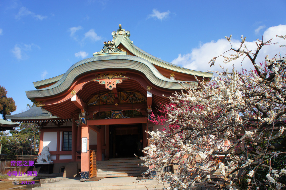 门外汉的京都之一 北野天满宫 八坂神社 円山公園 知恩院 高台寺 奈良药师寺 12早春 京都游记攻略 携程攻略