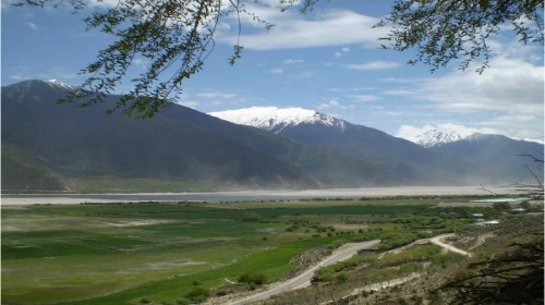 琼果林景区