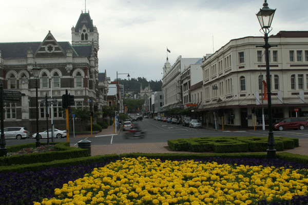 北京家庭新西兰南岛十一日自驾行图文攻略 签