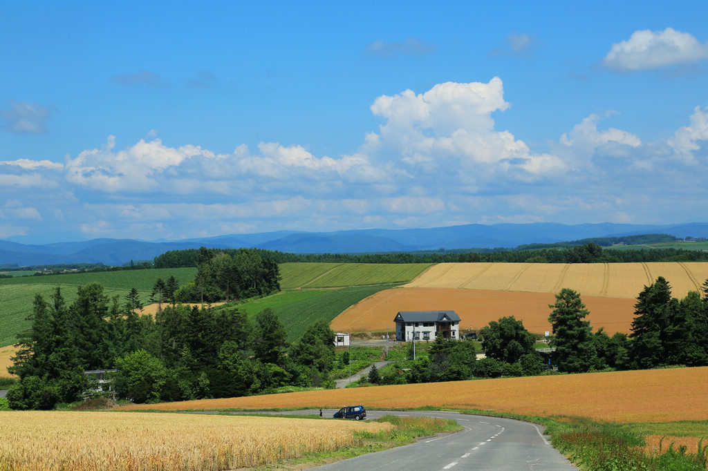 北海道之夏